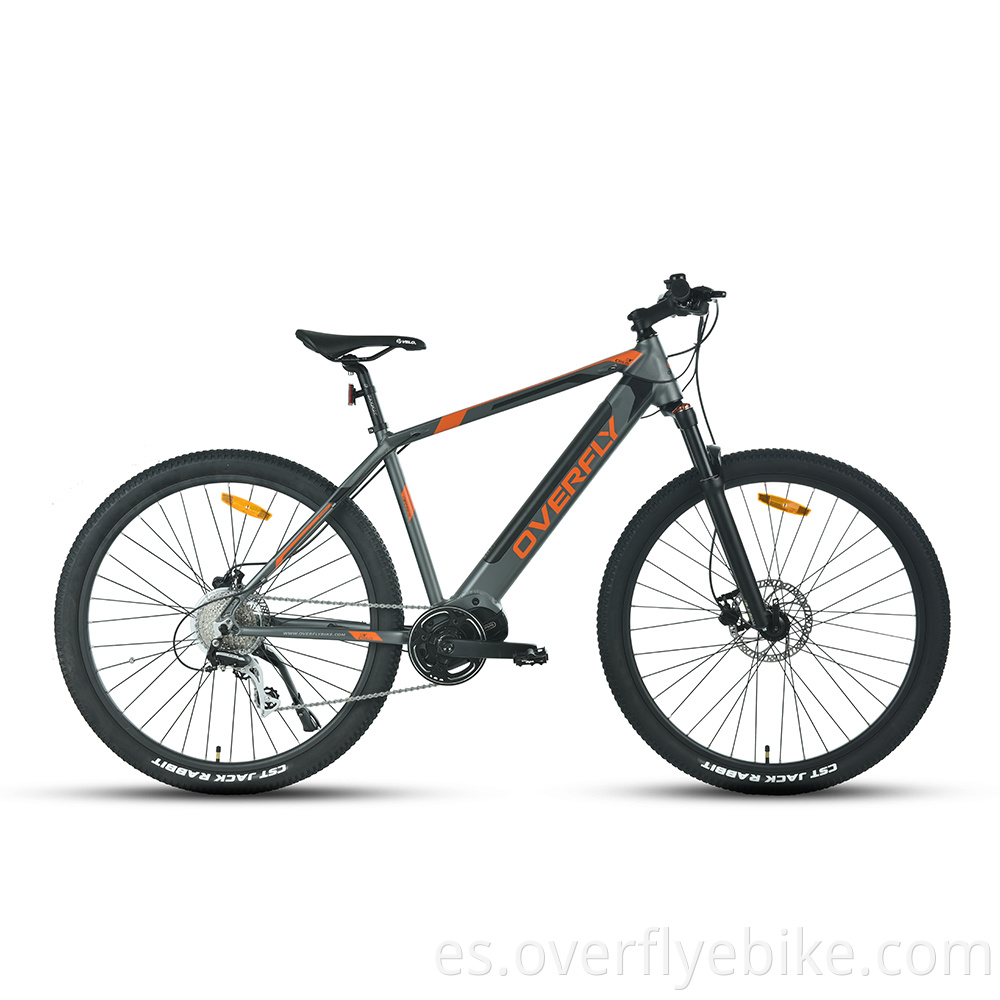 mountain electric bikes